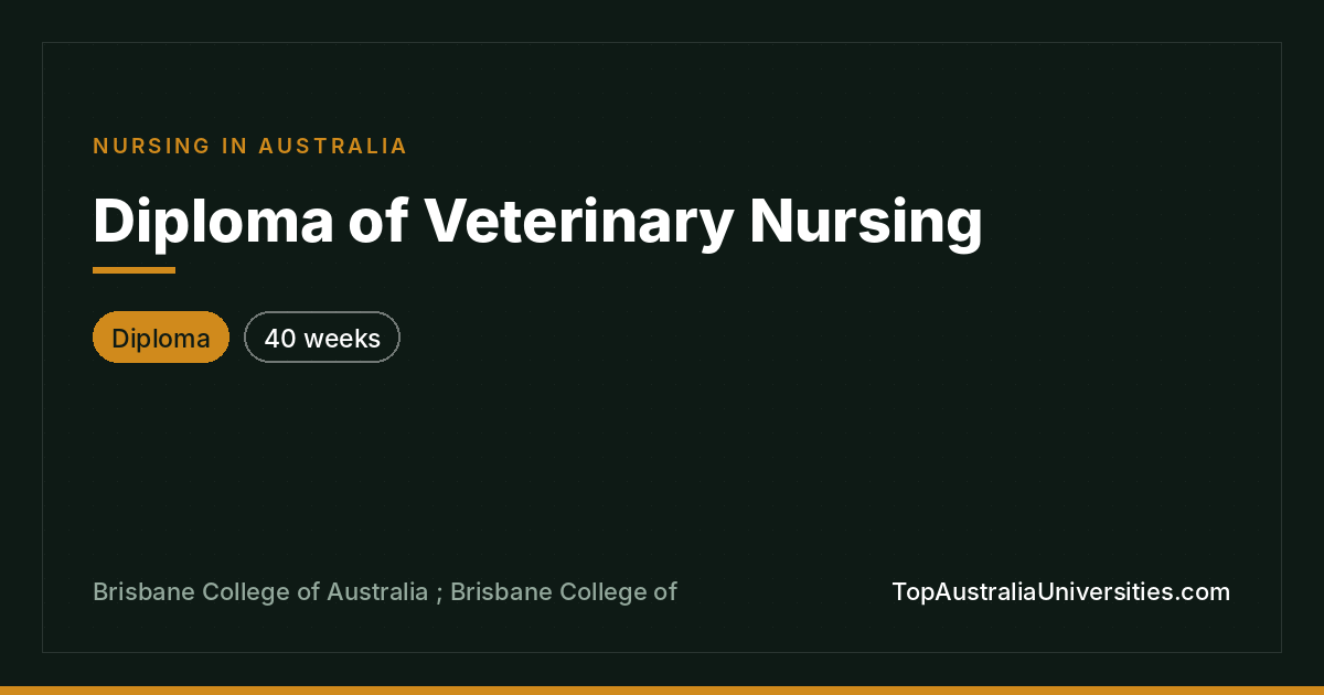 Diploma of Veterinary Nursing | Brisbane College